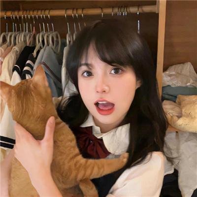 派特森与芬达猫：生日奇闻